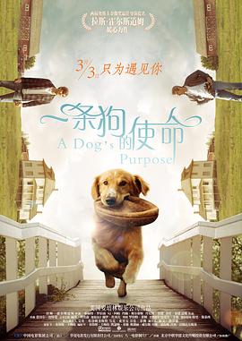 福利视频 一区二区